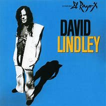 David Lindley - El Rayo-X (R)