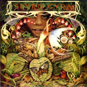 Spyro Gyra - Morning Dance