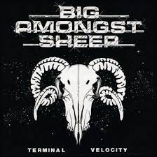 Big Amongst Sheep - Terminal Velocity